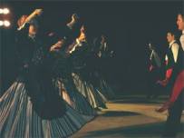 Festival Nacional de Folclore - Piedrabuena (Ciudad Real) - 2006